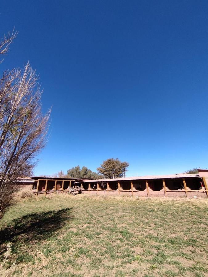 Puna Hostel San Pedro De Atacama Esterno foto