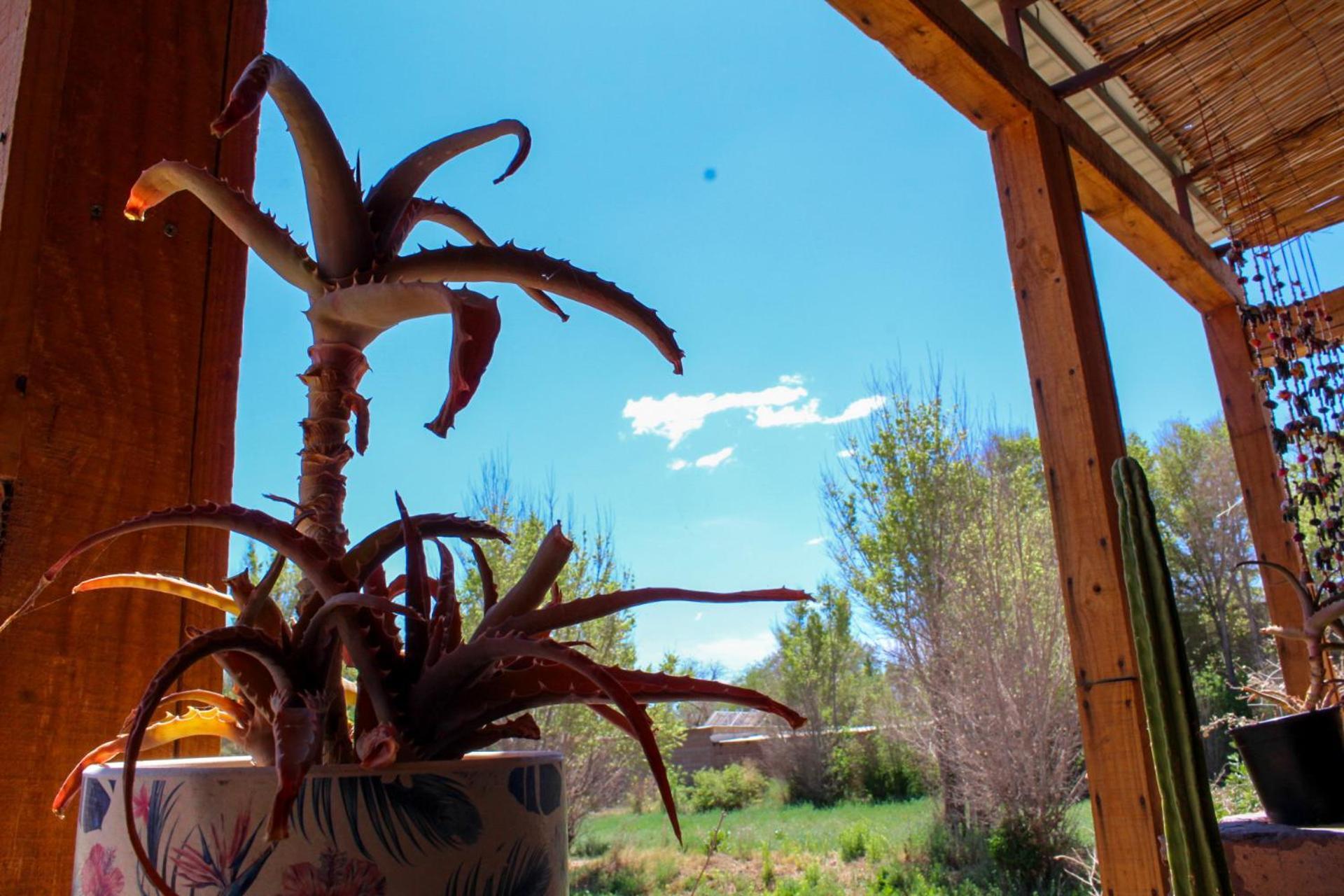 Puna Hostel San Pedro De Atacama Esterno foto